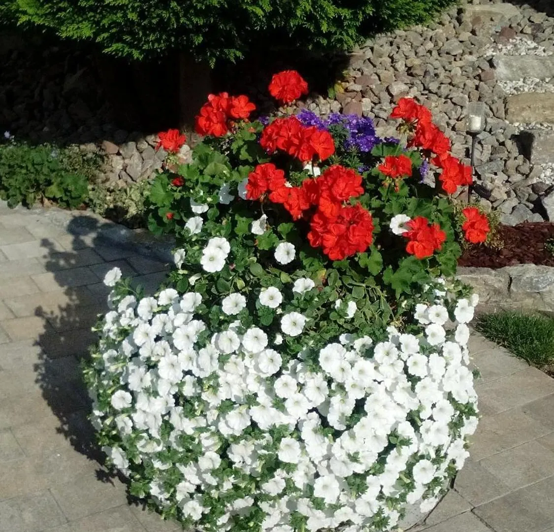 Ferienwohnung Seegarten Waldbuttelbrunn